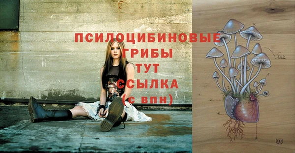 гашик Балахна