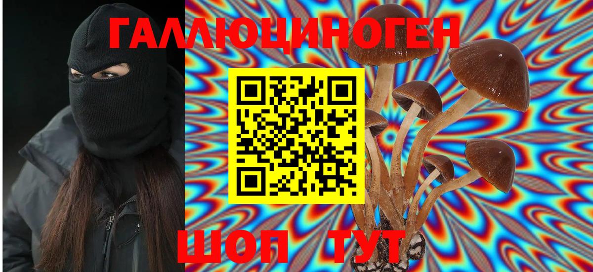 Галлюциногенные грибы GOLDEN TEACHER Белая Калитва