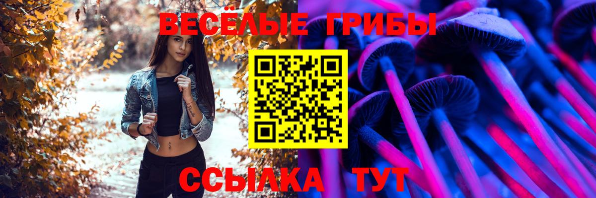 Псилоцибиновые грибы прущие грибы  Белая Калитва 