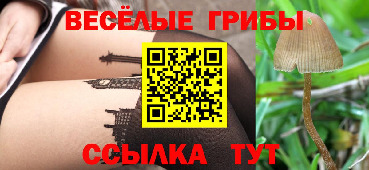 Галлюциногенные грибы Magic Shrooms  Псилоцибиновые грибы Psilocybine cubensis  Вход с VPN  что такое наркотик  Белая Калитва 