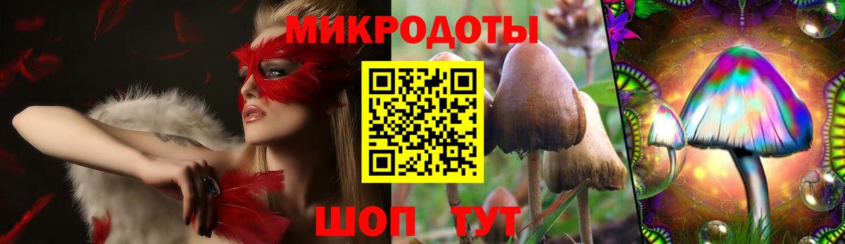 Псилоцибиновые грибы мицелий Белая Калитва